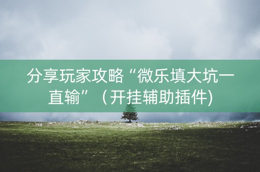 分享玩家攻略“微乐填大坑一直输”（开挂辅助插件)