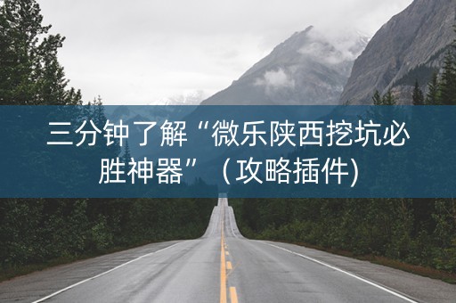 三分钟了解“微乐陕西挖坑必胜神器”（攻略插件)