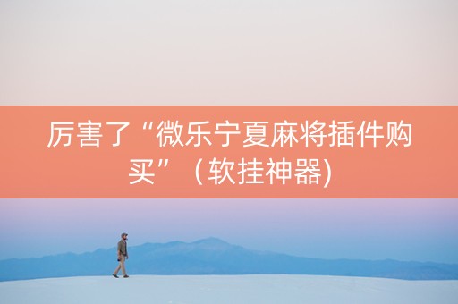 厉害了“微乐宁夏麻将插件购买”（软挂神器)