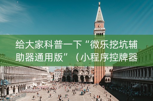 给大家科普一下“微乐挖坑辅助器通用版”（小程序控牌器)
