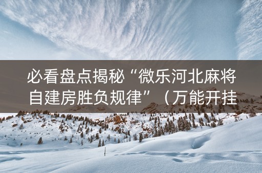 必看盘点揭秘“微乐河北麻将自建房胜负规律”（万能开挂器)