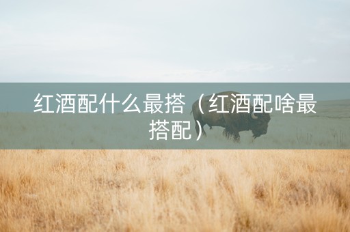 红酒配什么最搭（红酒配啥最搭配）