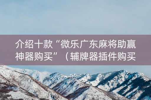 介绍十款“微乐广东麻将助赢神器购买”（辅牌器插件购买)