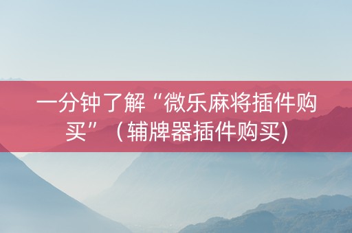 一分钟了解“微乐麻将插件购买”（辅牌器插件购买)