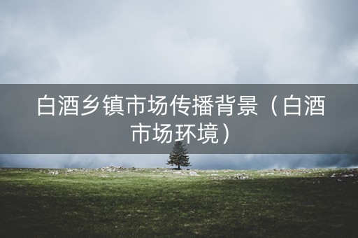 白酒乡镇市场传播背景（白酒市场环境）