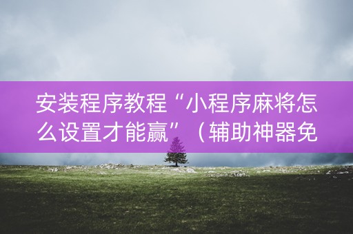 安装程序教程“小程序麻将怎么设置才能赢”（辅助神器免费)