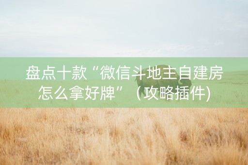 盘点十款“微信斗地主自建房怎么拿好牌”（攻略插件)