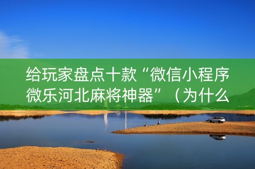 给玩家盘点十款“微信小程序微乐河北麻将神器”（为什么有人一直赢)