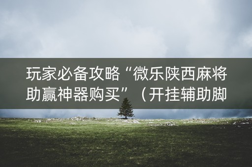 玩家必备攻略“微乐陕西麻将助赢神器购买”（开挂辅助脚本)