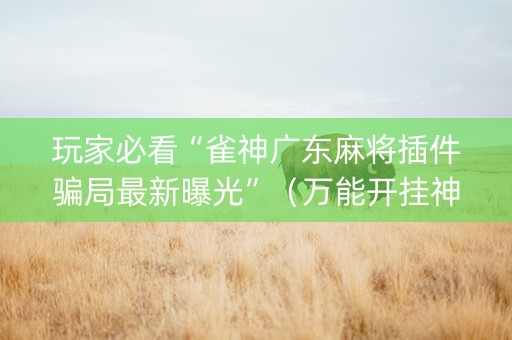 玩家必看“雀神广东麻将插件骗局最新曝光”（万能开挂神器)