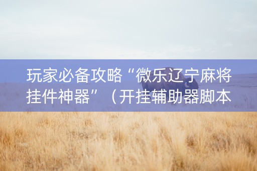 玩家必备攻略“微乐辽宁麻将挂件神器”（开挂辅助器脚本)