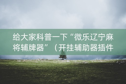 给大家科普一下“微乐辽宁麻将辅牌器”（开挂辅助器插件)