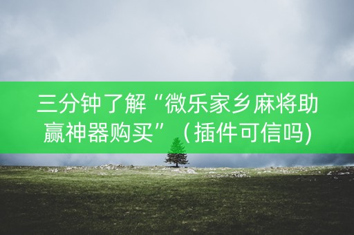 三分钟了解“微乐家乡麻将助赢神器购买”（插件可信吗)