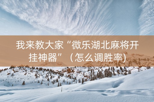 我来教大家“微乐湖北麻将开挂神器”（怎么调胜率)