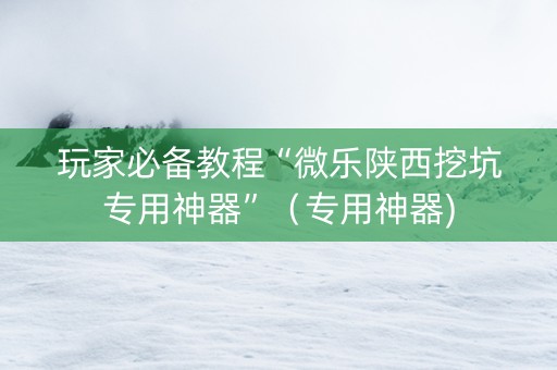 玩家必备教程“微乐陕西挖坑专用神器”（专用神器)