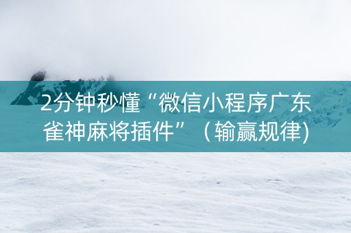 2分钟秒懂“微信小程序广东雀神麻将插件”（输赢规律)