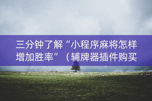 三分钟了解“小程序麻将怎样增加胜率”（辅牌器插件购买)