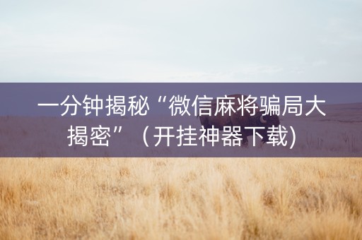 一分钟揭秘“微信麻将骗局大揭密”（开挂神器下载)