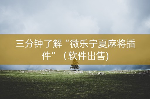 三分钟了解“微乐宁夏麻将插件”（软件出售)