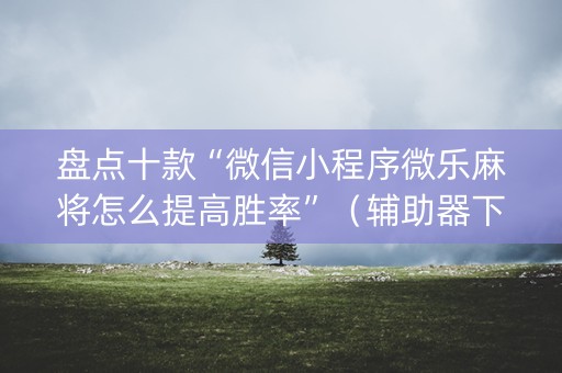 盘点十款“微信小程序微乐麻将怎么提高胜率”（辅助器下载)