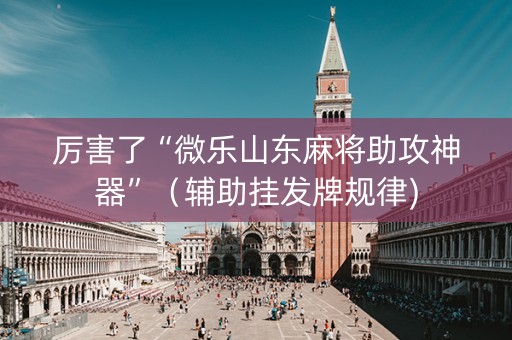厉害了“微乐山东麻将助攻神器”（辅助挂发牌规律)