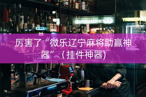 厉害了“微乐辽宁麻将助赢神器”（挂件神器)