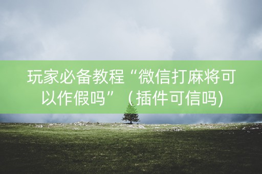 玩家必备教程“微信打麻将可以作假吗”（插件可信吗)