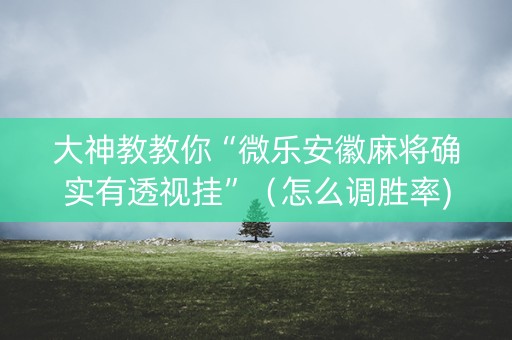 大神教教你“微乐安徽麻将确实有透视挂”（怎么调胜率)