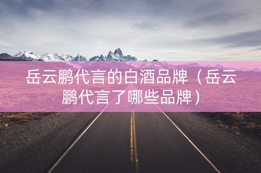 岳云鹏代言的白酒品牌（岳云鹏代言了哪些品牌）