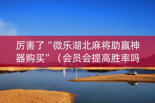 厉害了“微乐湖北麻将助赢神器购买”（会员会提高胜率吗)