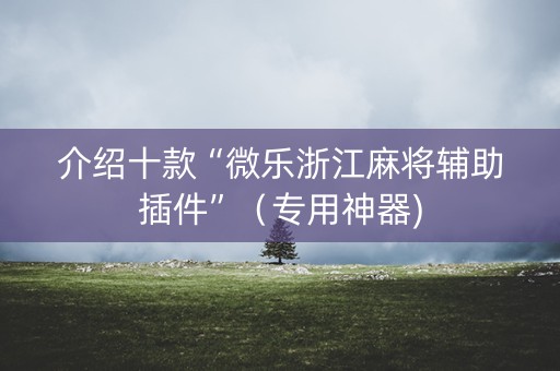 介绍十款“微乐浙江麻将辅助插件”（专用神器)