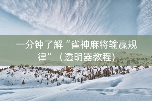 一分钟了解“雀神麻将输赢规律”（透明器教程)