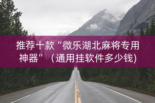 推荐十款“微乐湖北麻将专用神器”（通用挂软件多少钱)
