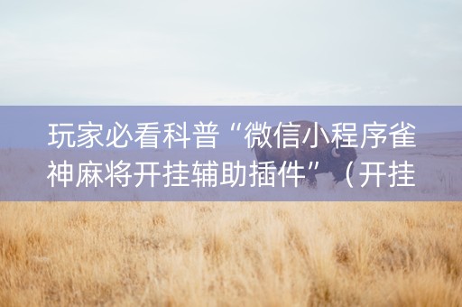 玩家必看科普“微信小程序雀神麻将开挂辅助插件”（开挂辅助器脚本)