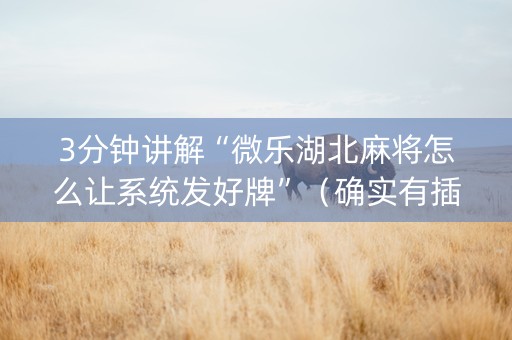 3分钟讲解“微乐湖北麻将怎么让系统发好牌”（确实有插件吗)