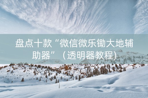 盘点十款“微信微乐锄大地辅助器”（透明器教程)