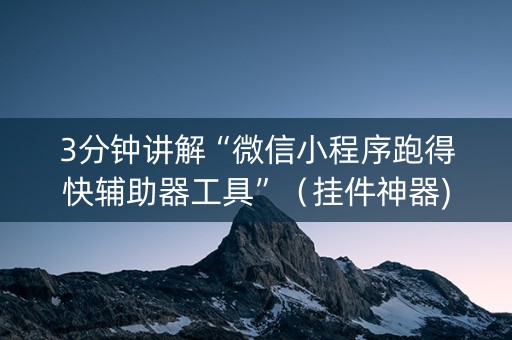 3分钟讲解“微信小程序跑得快辅助器工具”（挂件神器)