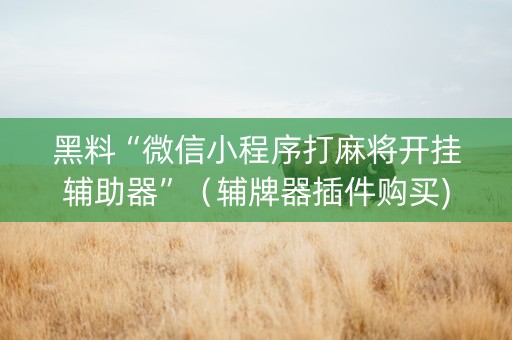 黑料“微信小程序打麻将开挂辅助器”（辅牌器插件购买)
