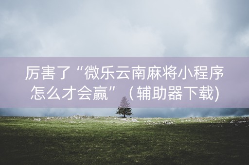 厉害了“微乐云南麻将小程序怎么才会赢”（辅助器下载)