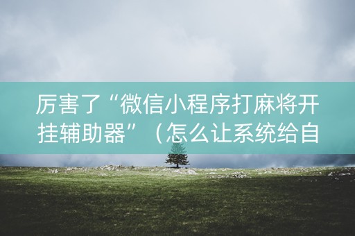 厉害了“微信小程序打麻将开挂辅助器”（怎么让系统给自己好牌)