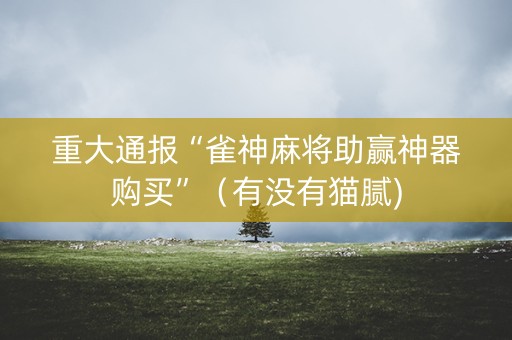 重大通报“雀神麻将助赢神器购买”（有没有猫腻)