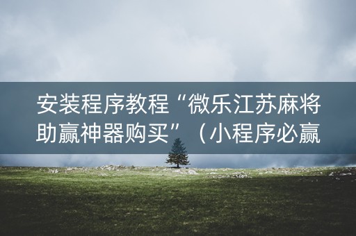 安装程序教程“微乐江苏麻将助赢神器购买”（小程序必赢神器)