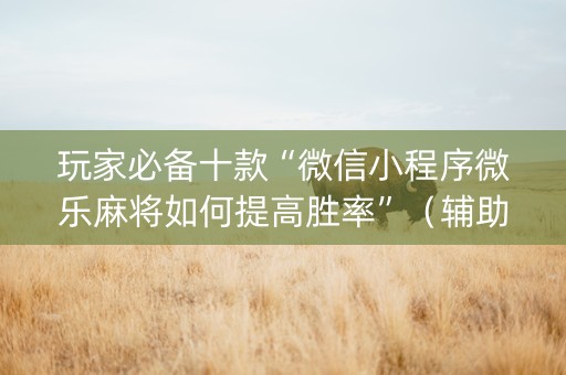 玩家必备十款“微信小程序微乐麻将如何提高胜率”（辅助器下载)