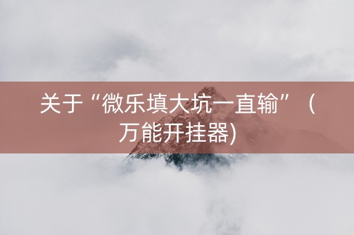 关于“微乐填大坑一直输”（万能开挂器)