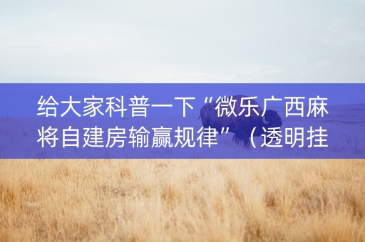 给大家科普一下“微乐广西麻将自建房输赢规律”（透明挂辅助器)