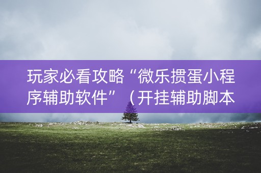 玩家必看攻略“微乐掼蛋小程序辅助软件”（开挂辅助脚本)