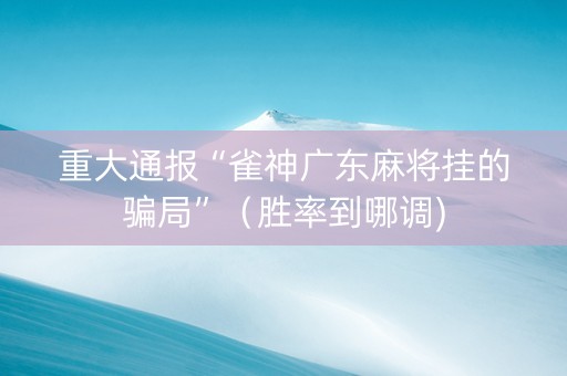 重大通报“雀神广东麻将挂的骗局”（胜率到哪调)