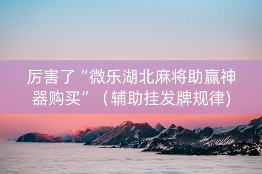 厉害了“微乐湖北麻将助赢神器购买”（辅助挂发牌规律)