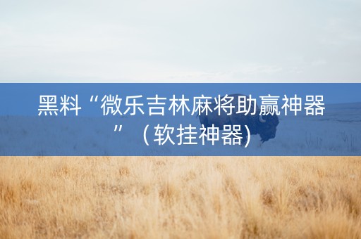 黑料“微乐吉林麻将助赢神器”（软挂神器)