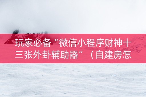 玩家必备“微信小程序财神十三张外卦辅助器”（自建房怎么拿好牌)